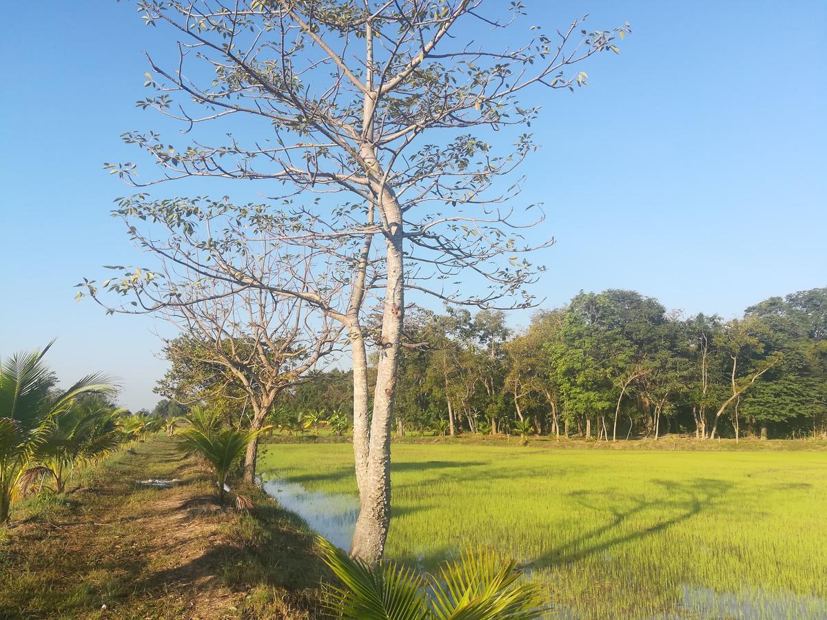 Bn Resort Ban Nong Chum Saeng Zewnętrze zdjęcie